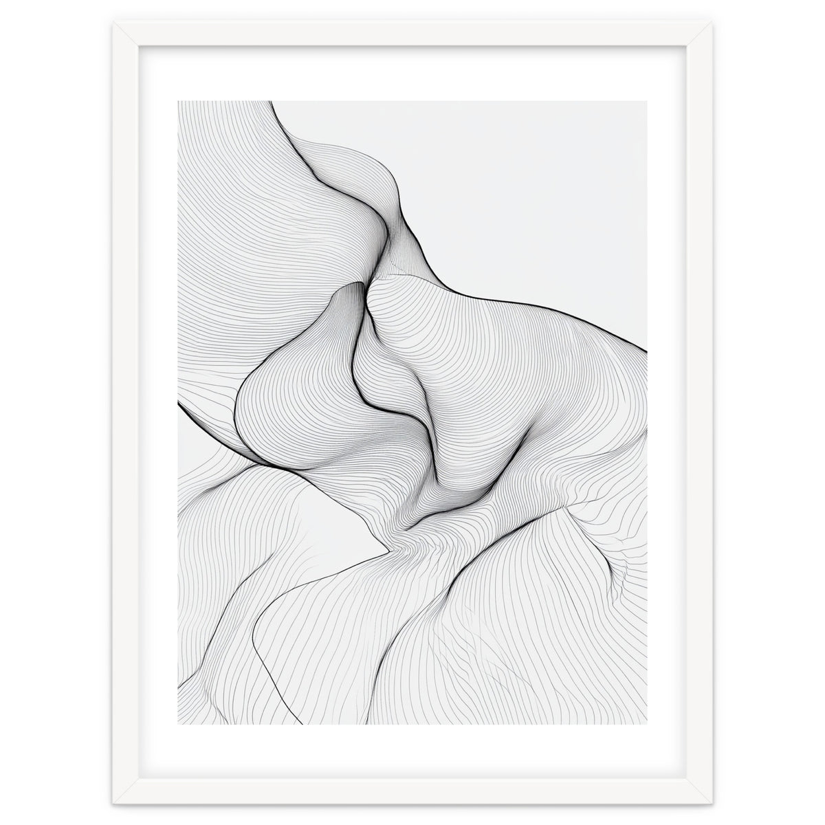 Abstract Black And White Flowing Lines Organic Form