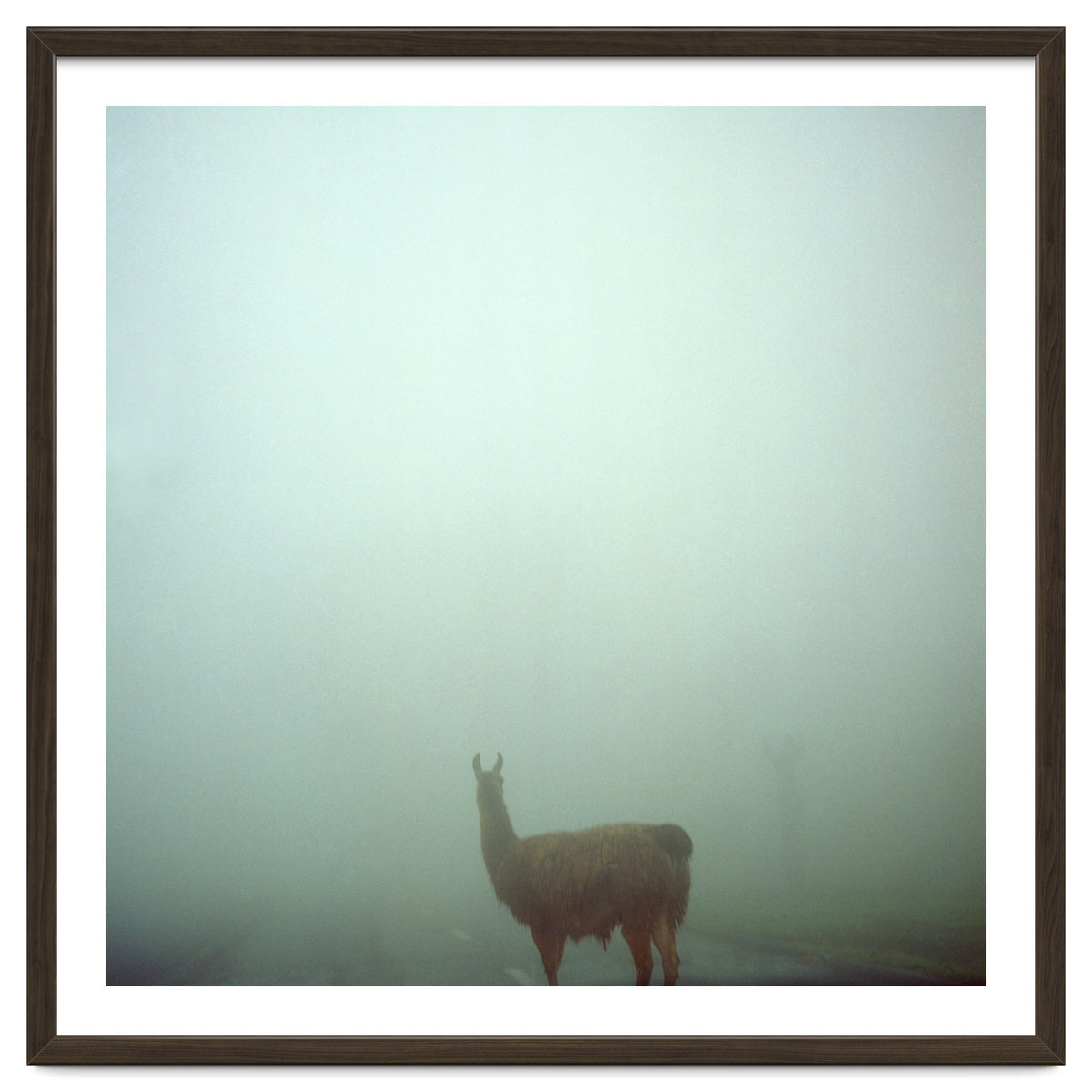 Silence of breath - 04