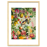 Toucan vintage jungle thumbnail