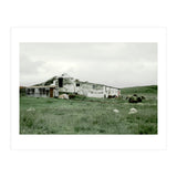 Sheep with a farmhouse - Iceland  (Print Only) thumbnail
