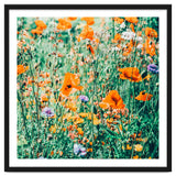 Eva | Nature Floral Meadow Garden | Photography Botanical Spring Bohemian Flowers thumbnail