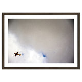 The Little Prince thumbnail