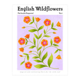 English Wildflowers | Scarlet Pimpernel  (Print Only) thumbnail