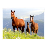 Three Horses (Print Only) thumbnail