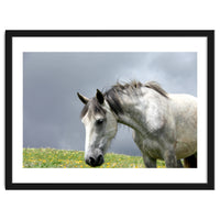 White Horse