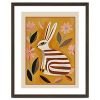 Striped Hare