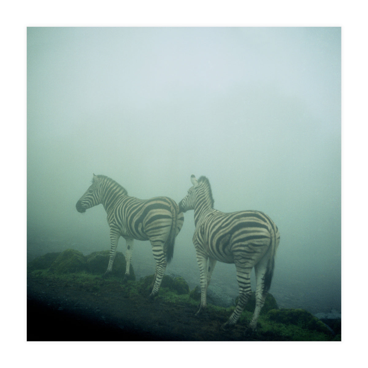 Silence of breath - 14 (Print Only)