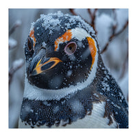 Penguin In Snow Falling Close Up Portrait (Print Only)