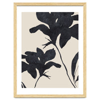 Shadowed Blooms