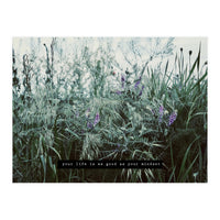 Photography - Summer Garden (Print Only)