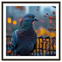 Pigeon With Water Droplets