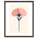 Pink Half Poppy thumbnail