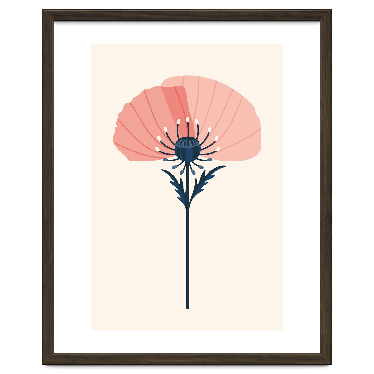 Pink Half Poppy