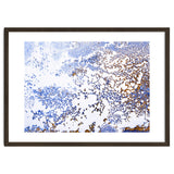 Coral Blooming thumbnail
