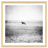 Sea Horse thumbnail