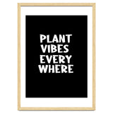 Plant vibes everywhere thumbnail