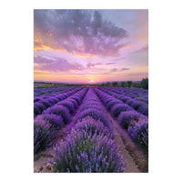 Infinite Horizons (Print Only)