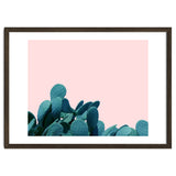 Kaktos thumbnail