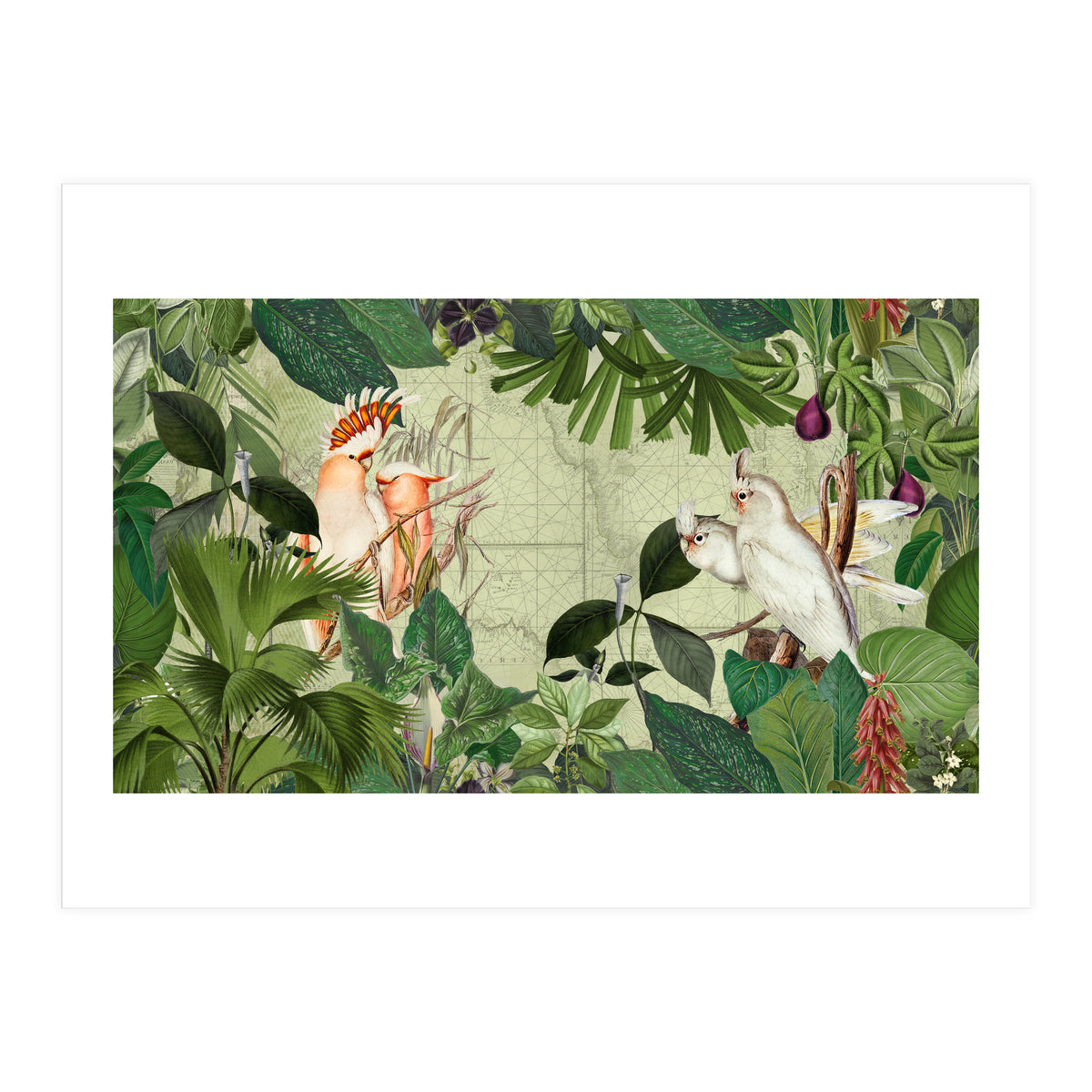 Cockatoo Island Green (Print Only)