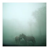 Silence of breath - 11 (Print Only) thumbnail
