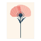 Pink Half Poppy (Print Only) thumbnail