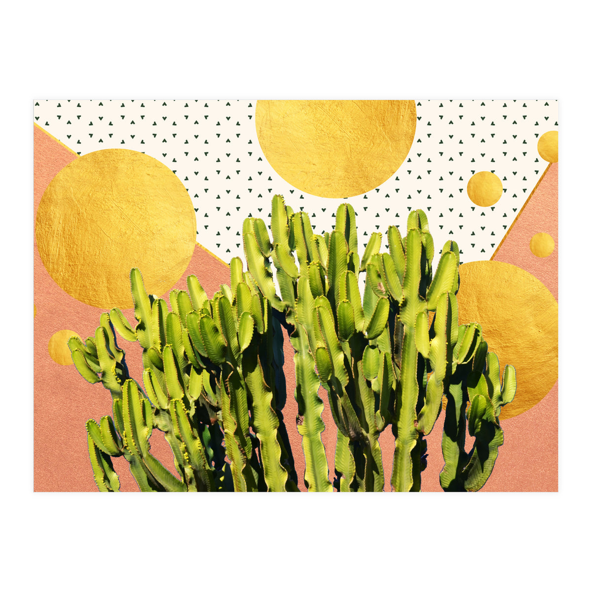 Cactus Dream #society6 #decor #buyart (Print Only)