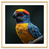 Close Up Colorful Parrot Perched On A Branch thumbnail
