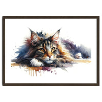 Maine Coon Resting Portrait
