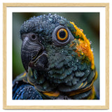 Close Up Of A Wet Macaw Parrot Head thumbnail