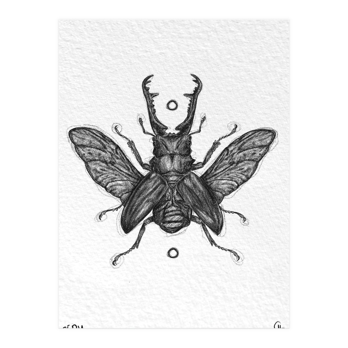 Giraffen Hirschkäfer (Print Only)