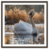 Majestic Swan On Calm Water During Sunset Nature Scene thumbnail