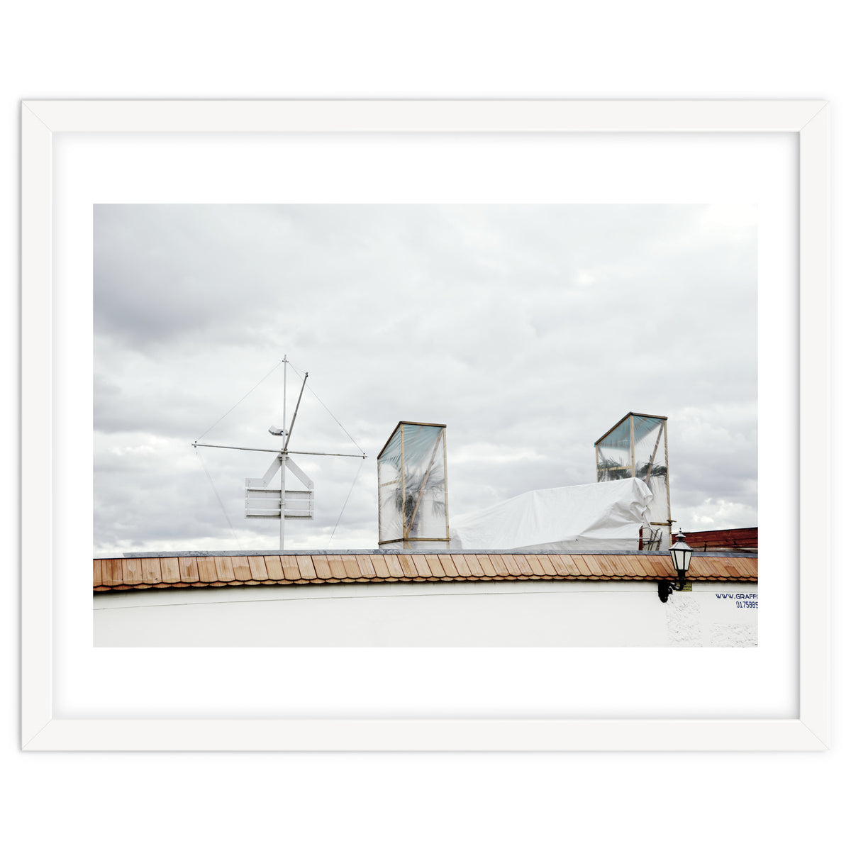 Palm tree waiting for summer