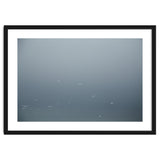 Flying Segulls in thet winter sky thumbnail