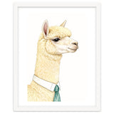 Alpaca thumbnail