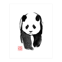 Panda Walking 03 (Print Only)