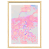 Chamomile thumbnail