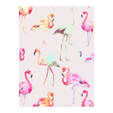 Flamingo Formation (Print Only) thumbnail