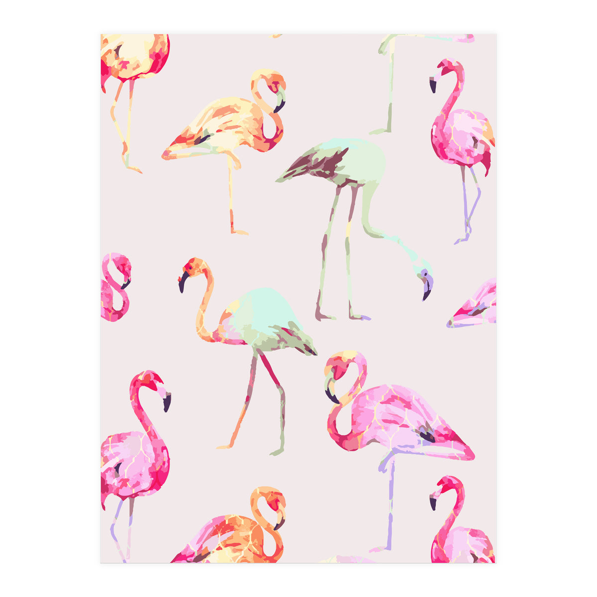 Flamingo Formation (Print Only)