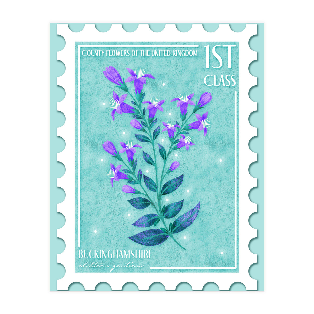 The Buckinghamshire Chiltern Gentian Postage Stamp (Print Only)
