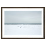 Seagulls in the Snow beach thumbnail