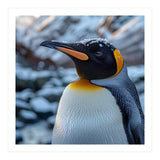 King Penguin In The Snow With Frosty Head (Print Only) thumbnail