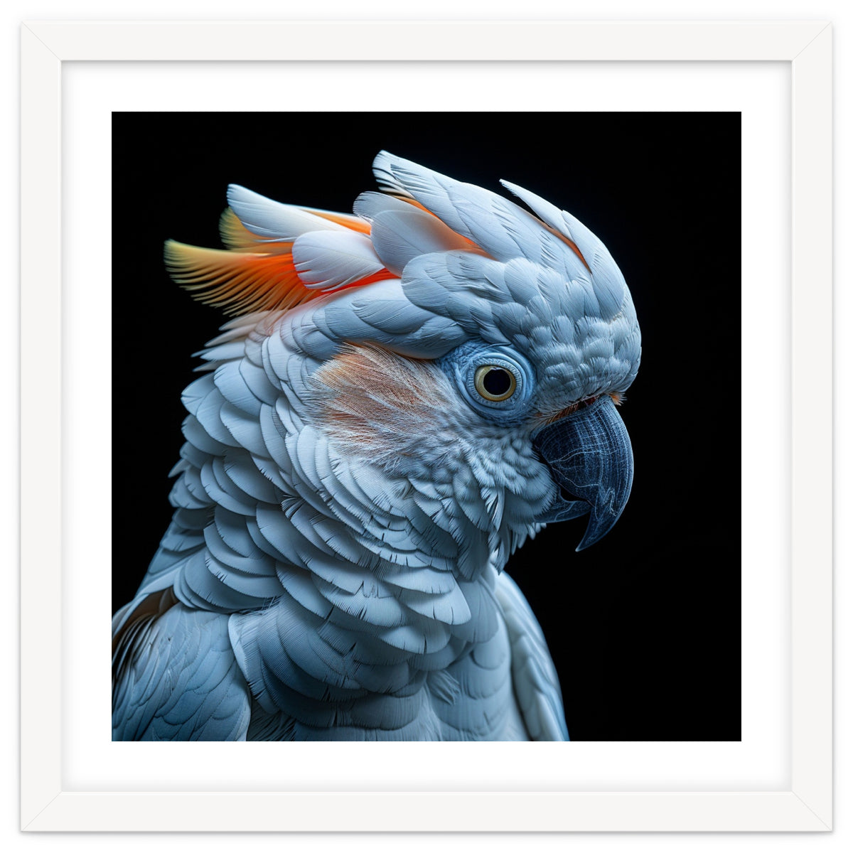 Close Up Of A Cockatoo Parrot Head