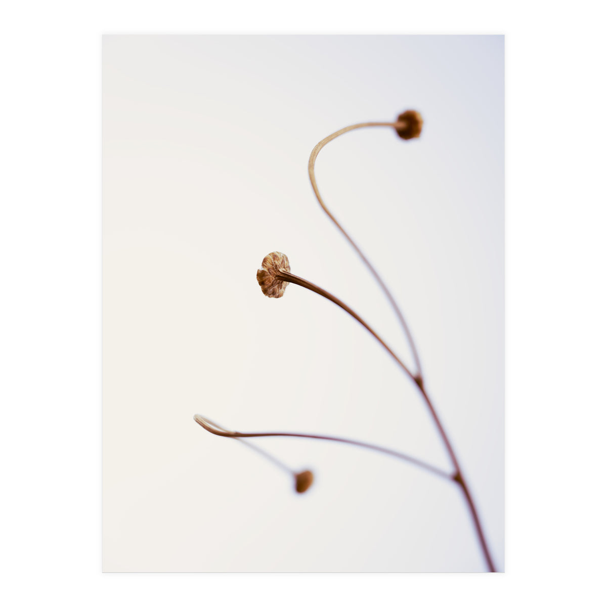 In light of current events VIII (Print Only)