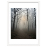 Ethereal Morning Light Breaking Through Dense Forest Fog thumbnail