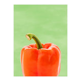 Red Bell Pepper, Fresh Kitchen Art, Capsicum Chilli (Print Only) thumbnail