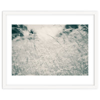 Walking Through Long Grass