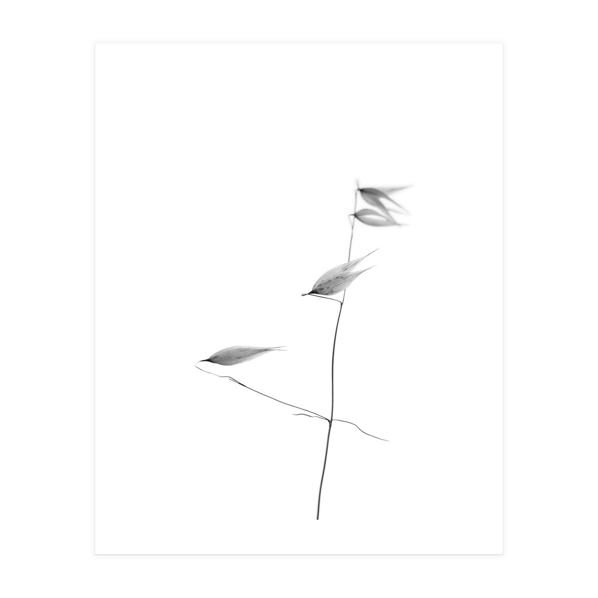 In light of current events IV (Print Only)