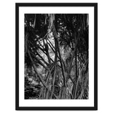 Black Tectorius Plant Art thumbnail