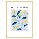 Australian Flora: Golden Wattle thumbnail