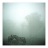 Silence of breath - 15 (Print Only) thumbnail
